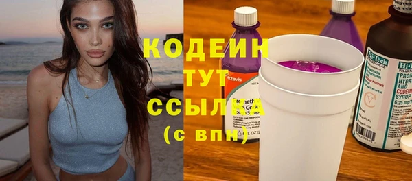 apvp Горнозаводск