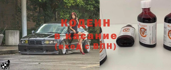 ГАЛЛЮЦИНОГЕННЫЕ ГРИБЫ Горняк