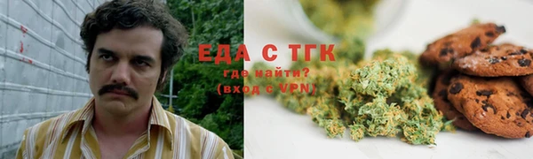 гашик Туринск