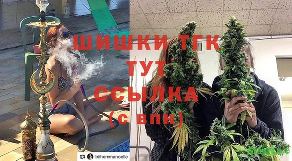 apvp Горнозаводск