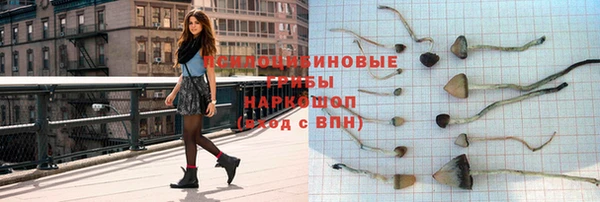 apvp Горнозаводск