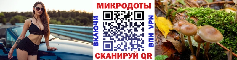 Галлюциногенные грибы MAGIC MUSHROOMS  купить   Западная Двина 