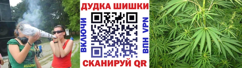Канабис сатива где продают наркотики Западная Двина
